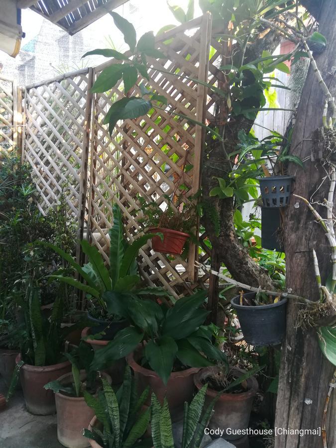Cody Guesthouse Chiang Mai Exterior foto